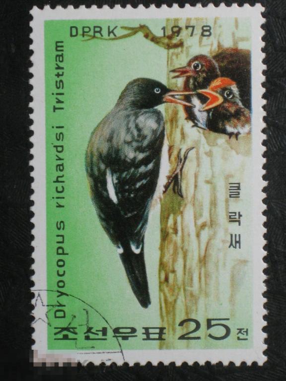 Корея КНДР 1978 Фауна Птицы Дятел марка 25ч из серии (д) 