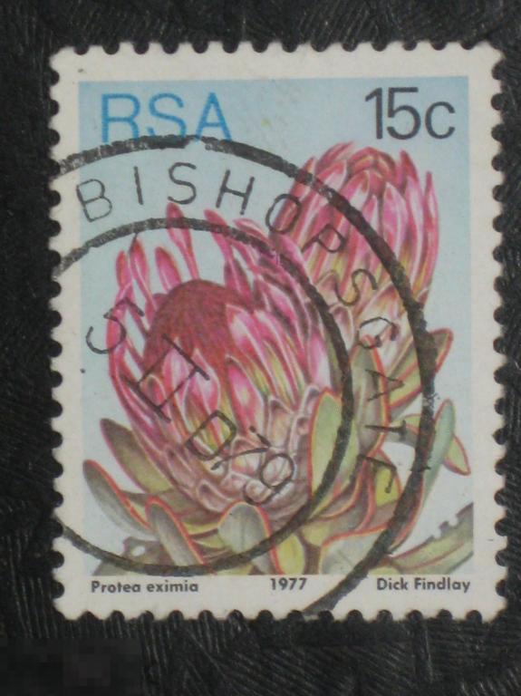 ЮАР 1977 Флора Цветы марка 15 