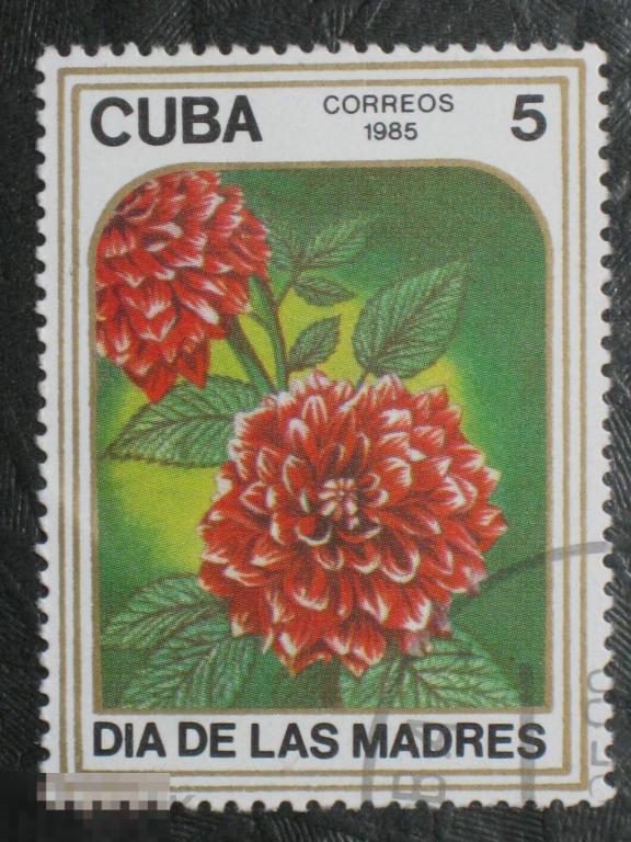Куба 1985 Флора Цветы День матери марка 5 из серии 
