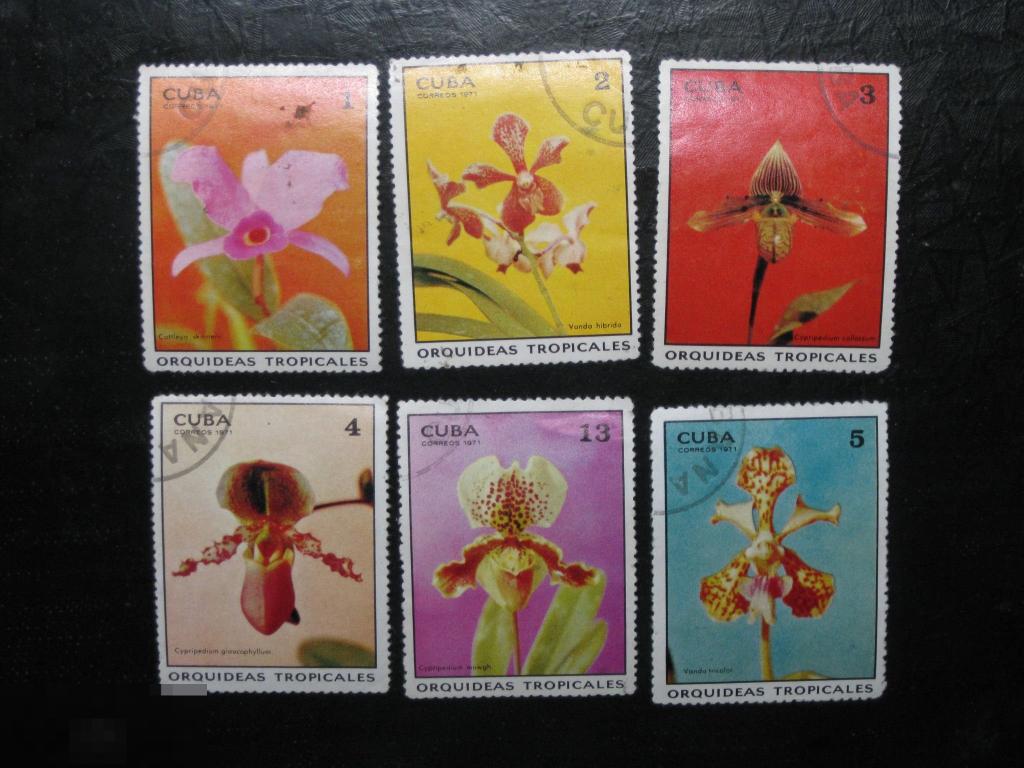 Куба 1971 Флора Цветы Орхидея 6 марок из серии 