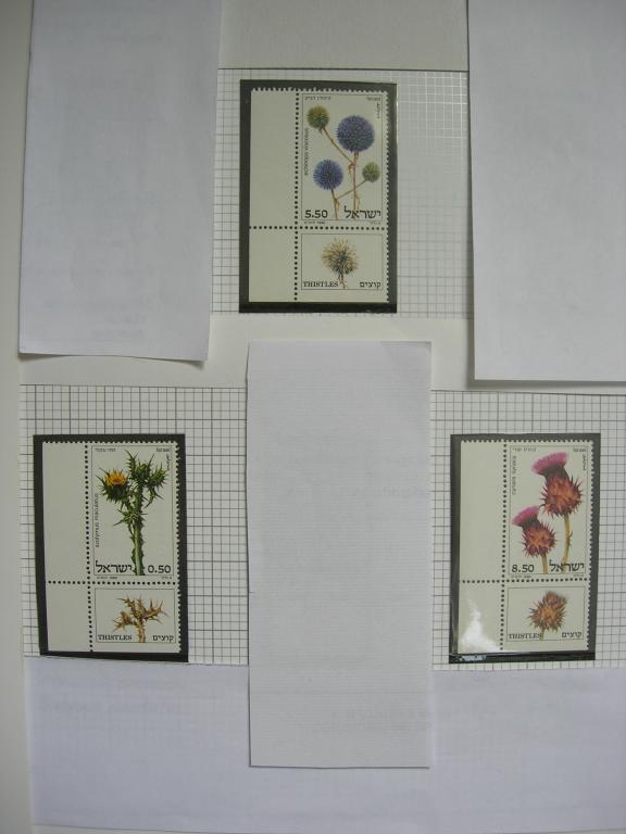 Израиль 1980  флора: цветы    MNH