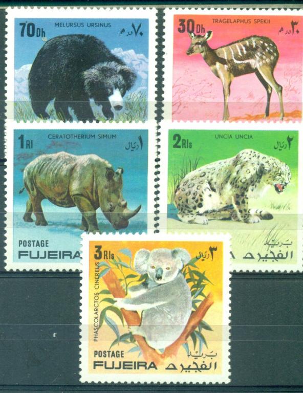 Фуджерия (ОАЭ). Фауна Дикие животные негашеная**