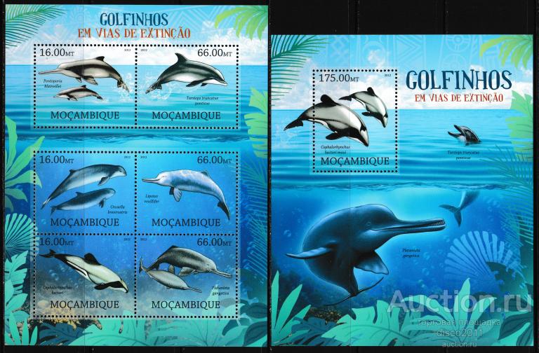 Мозамбик 2012 Дельфины Морская фауна моря к/б+бл**