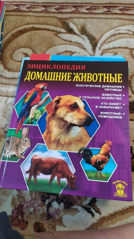 детская энциклопедия .домашние животные — покупайте на Auction.ru по ...
