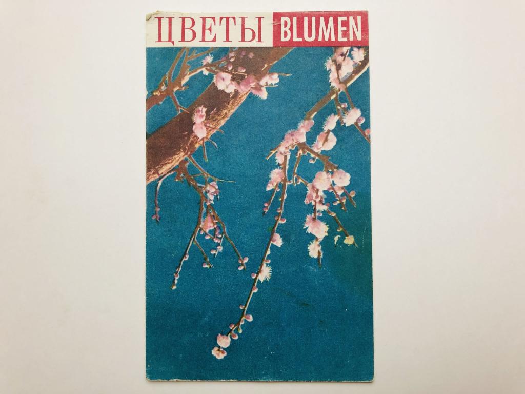 Цветы. Blumen. Набор скрепленных открыток. Комплект из 12 штук. Полный. 1962 г.