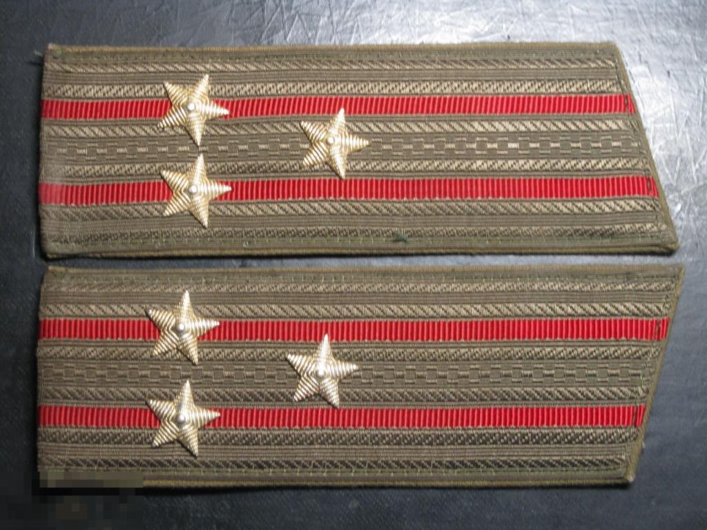 Погоны полковник Сухопутные войска 17.5см оригинал