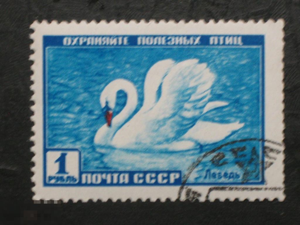 СССР 1959 Фауна Лебедь марка 1 клей 