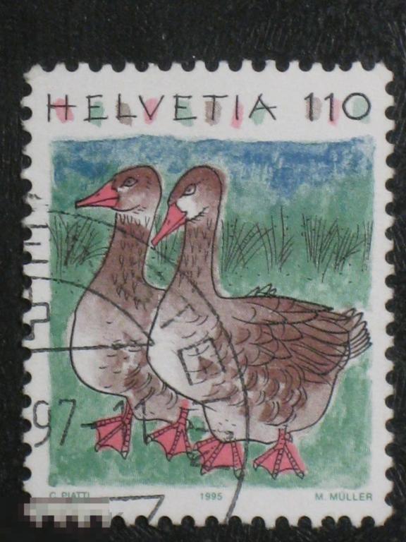 Швейцария 1995 Фауна Птицы Гуси марка 1.10 (и1) 