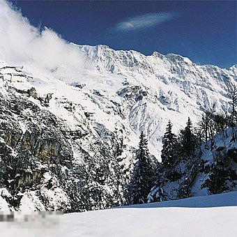 Moloko I Am Not A Doctor OBI лицензия ЛИКВИДАЦИЯ 2021 