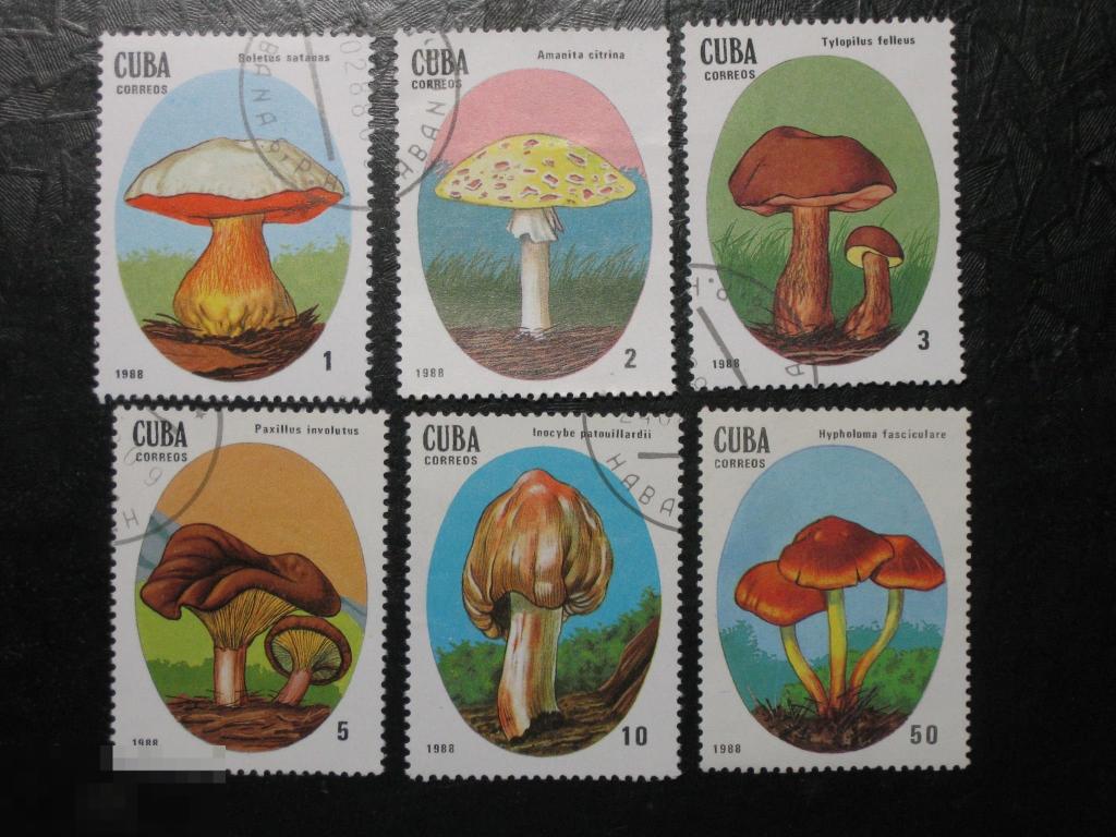 Куба 1988 Грибы 6 марок из серии 
