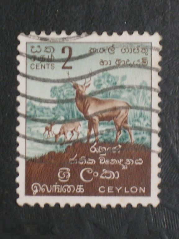 Цейлон 1958 Самбар в национальном парке Рухуна марка 0.02 (и1) 