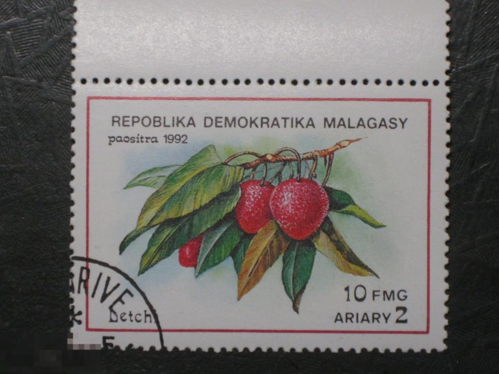 Мадагаскар 1992 Флора Фрукты Личи марка 2 из серии 