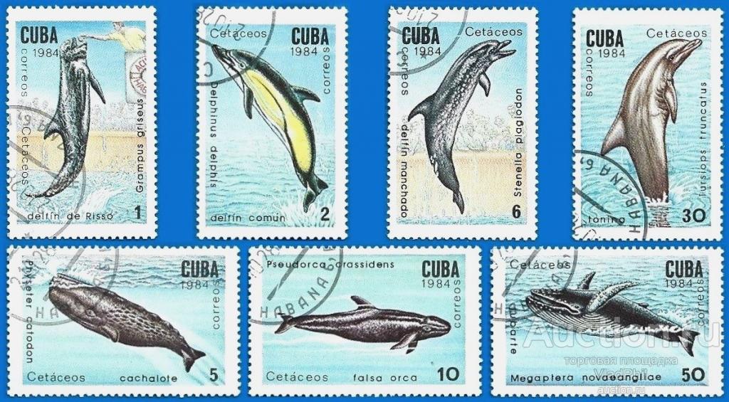 Куба 1984 MiNr 2828-34. Морские млекопитающие. (2.4 € / 2.35 $) CTO