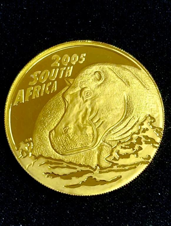 ЮАР. Бегемот 100 рэндов  2005 год. ПРУФ.