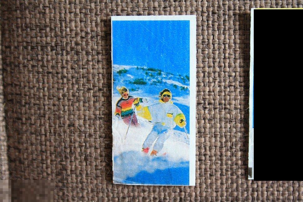 Вкладыш от жвачки Candyland разное зимний спорт №44 