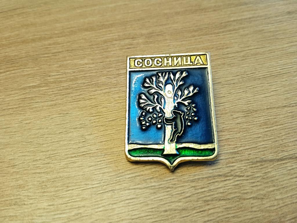 Знак значок СССР  город герб Сосницы
