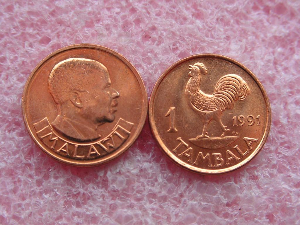 Малави 1 тамбала 1991 KM#7a unc