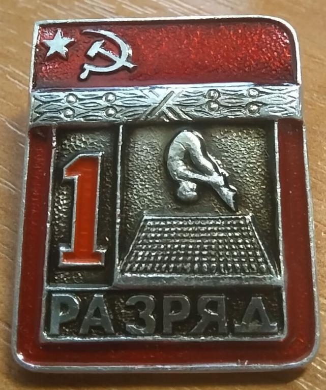 1 Разряд Батут ЦШТ Редкий — покупайте на Auction.ru по выгодной цене ...