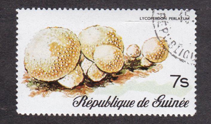 распродажа Гвинея 1977 Грибы (4844)