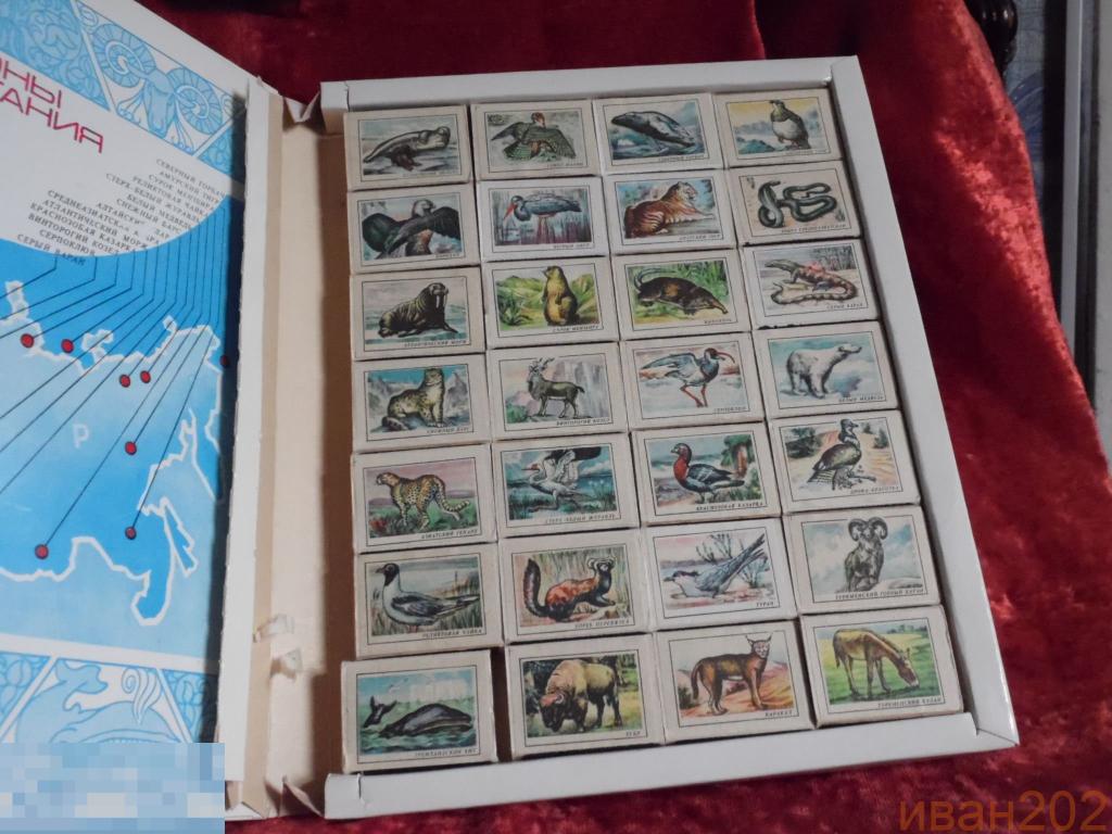 сувенирный набор спички "занесены в красную книгу" не пользованые зеленые.