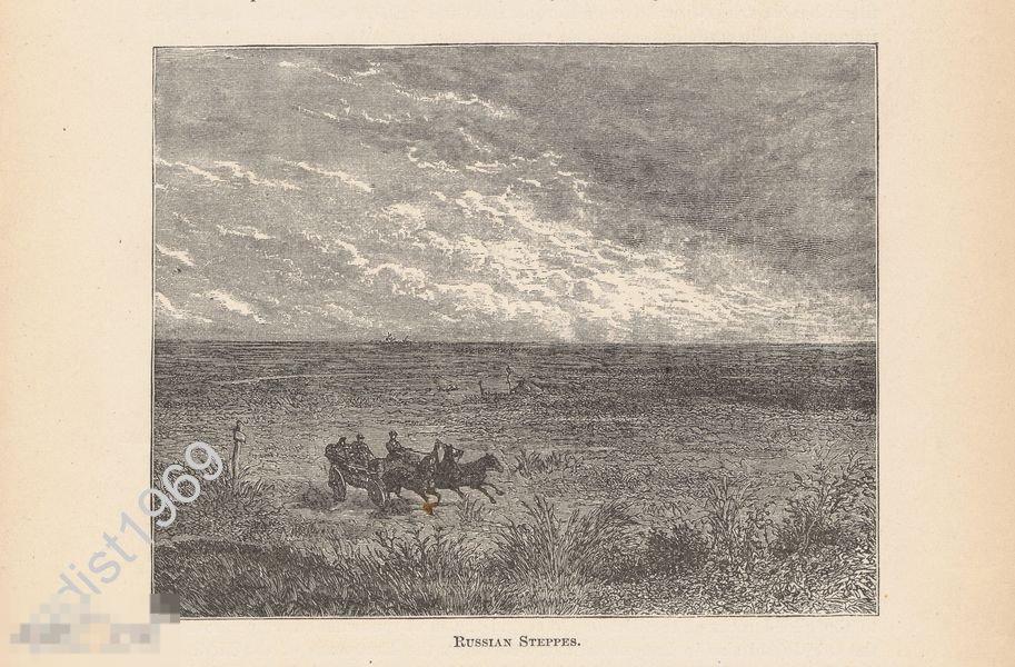 ГРАВЮРА 1892 г. РУССКИЕ СТЕПИ. ТРОЙКА 