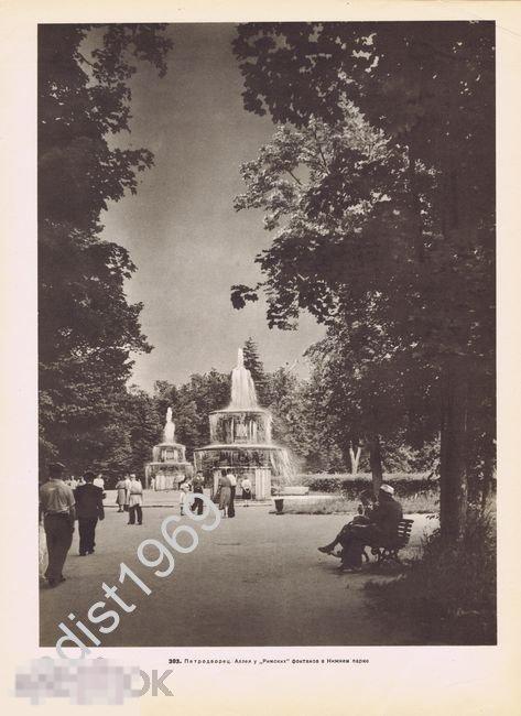 ФОТОГРАВЮРА 1957 г. ЛЕНИНГРАД (САНКТ-ПЕТЕРБУРГ). ПЕТРОДВОРЕЦ (ПЕТЕРГОФ). АЛЛЕЯ У ФОНТАНОВ. ЛОМОНОСОВ 