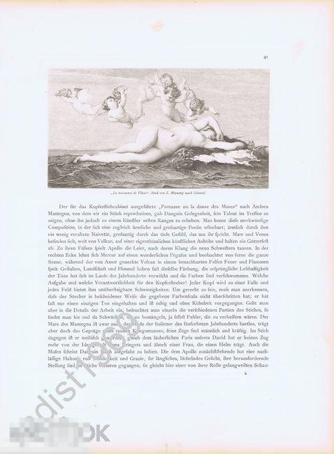 ГЕЛИОГРАВЮРА 1891 г. РОЖДЕНИЕ ВЕНЕРЫ. ЭРОТИКА, НЮ, АМУР, КУПИДОН. ФЛАМЕНГ, КАБАНЕЛЬ 