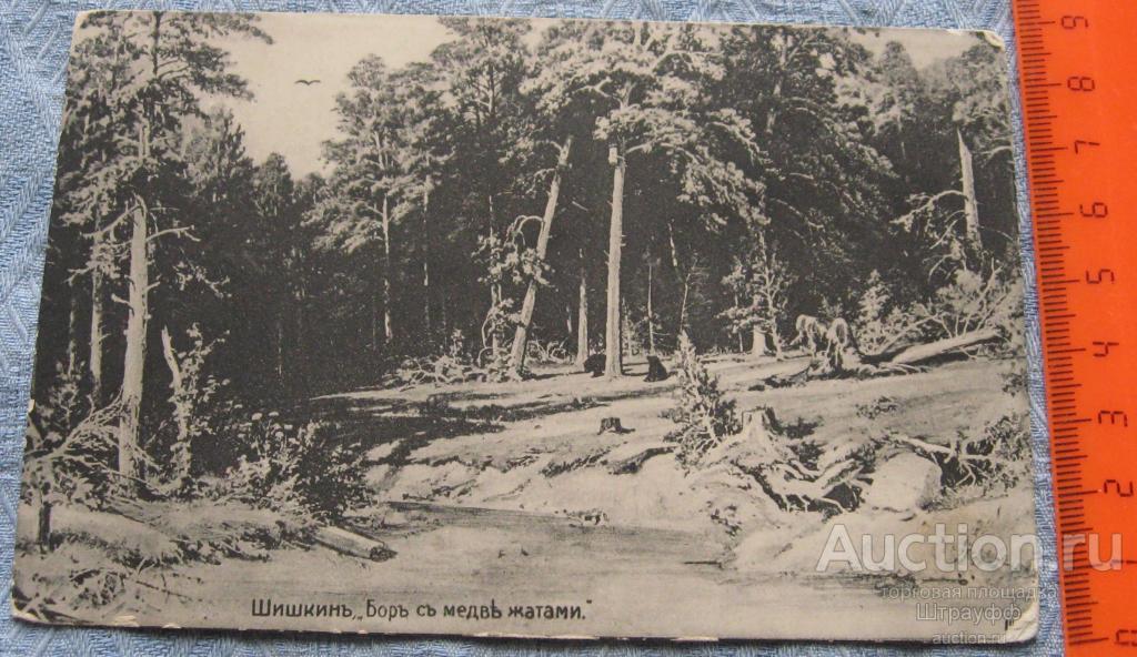Почтовая карточка. Живопись. Шишкин. Бор с медвежатами. Подписана. Дефекты.