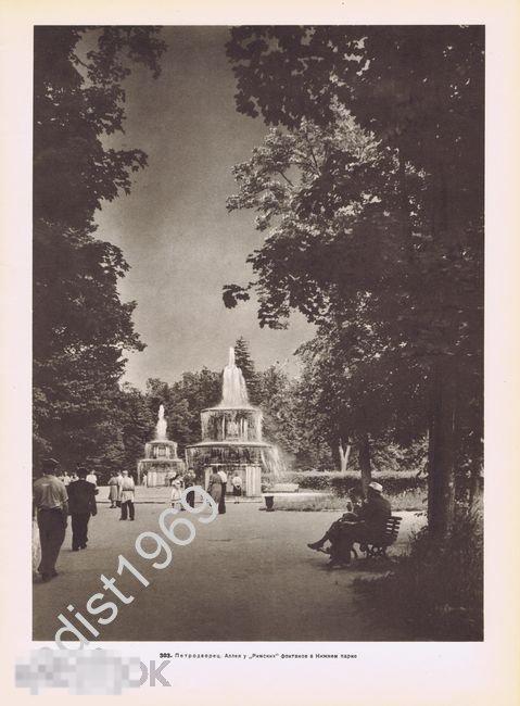 ФОТОГРАВЮРА 1957 г. ЛЕНИНГРАД (САНКТ-ПЕТЕРБУРГ). ПЕТРОДВОРЕЦ. АЛЛЕЯ У РИМСКИХ ФОНТАНОВ. ЛОМОНОСОВ 