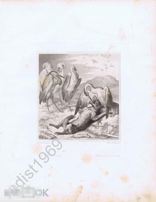 ГРАВЮРА 1867 г. РЕЙНЕКЕ-ЛИС. ЖУРАВЛЬ ВЫТАСКИВАЕТ КОСТЬ. ГЁТЕ, КАУЛЬБАХ, АНТРОПОМОРФНЫЕ ЖИВОТНЫЕ