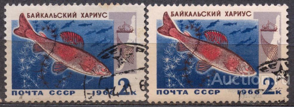 СССР 1966 СК 3313 РЫБЫ БАЙКАЛ  НА ПРОСТОЙ И ЛЮМИНЕСЦЕНТНОЙ БУМАГЕ УФ UV