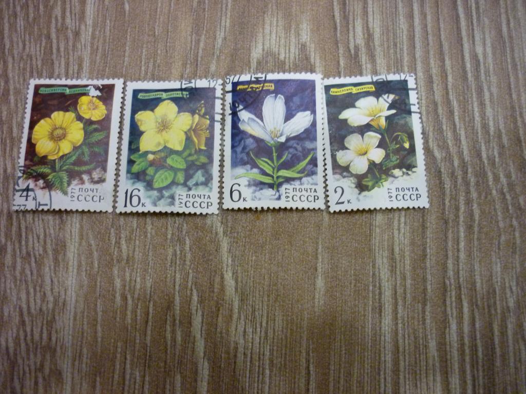 Марка СССР 1977 год. Цветы.