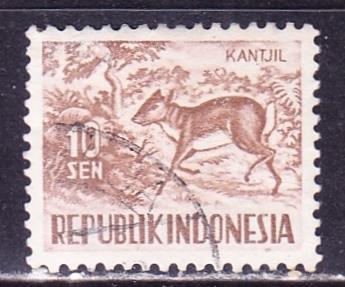 Индонезия, гаш, фауна, 1956 г.