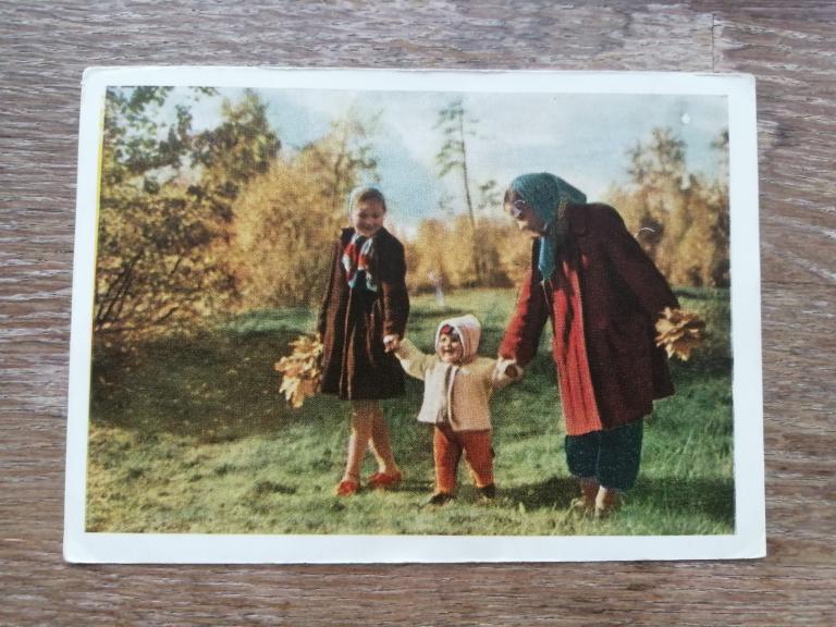 Осень в Сокольниках! Фото Г. Самсонова, 1960 г.