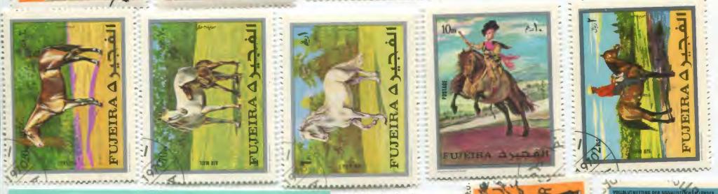 1970.Фуджейра.Лошади.5м и блок .Гаш.