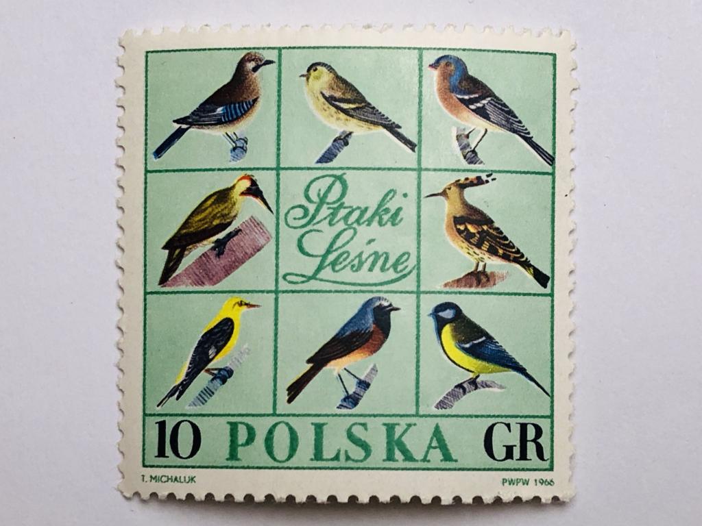 Птицы. Лесные птицы. 10 гр. Фауна. Польша. 1966. Mi: PL 1718. Чист