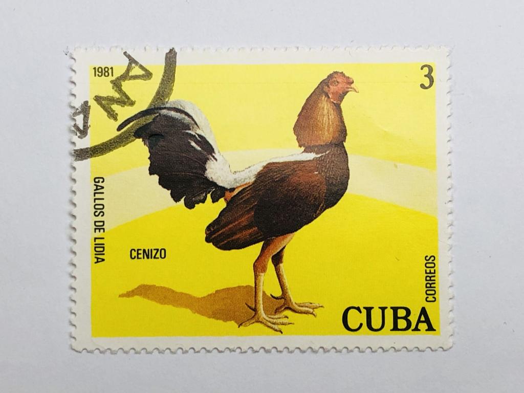 Птицы. Куры. Сенизо. 3 сентаво. Фауна. Куба. 1981. Mi: CU 2562. Гашен