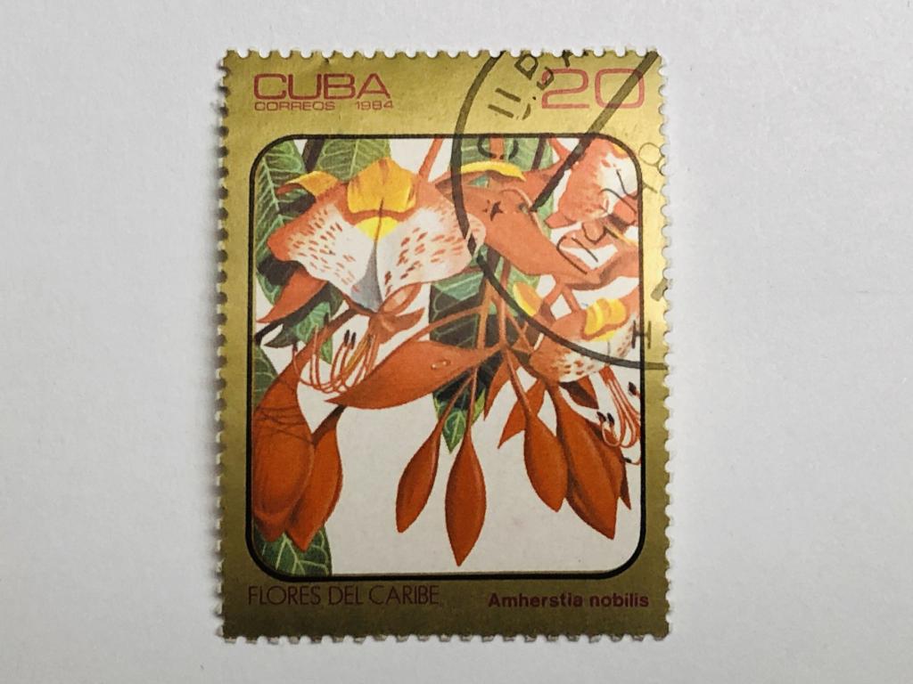 Растения. Цветы. 20 сентаво. Флора. Куба. 1984. Mi: CU 2841. Гашен