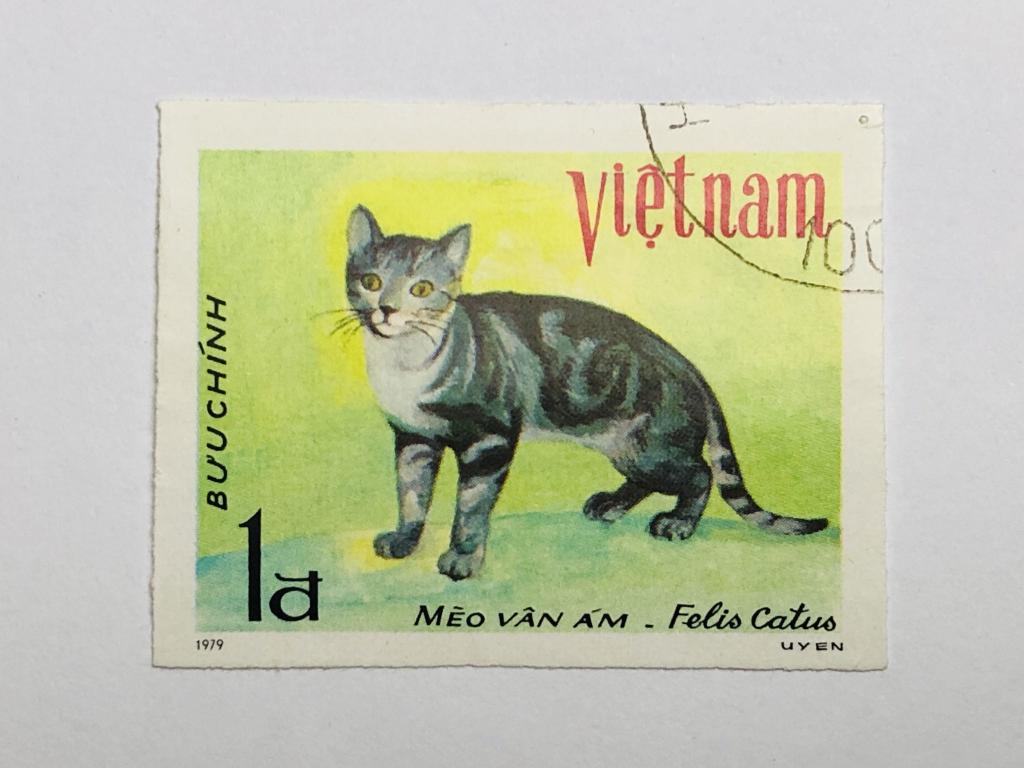 Животные. Кошки. 1 донг. Фауна. Вьетнам. 1979. Mi: VN 1070U. Гашен