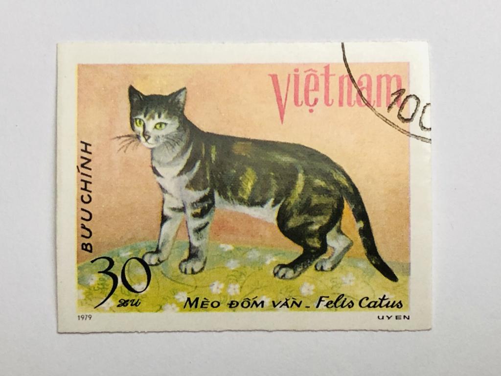 Животные. Кошки. 30 су. Фауна. Вьетнам. 1979. Mi: VN 1066U. Гашен