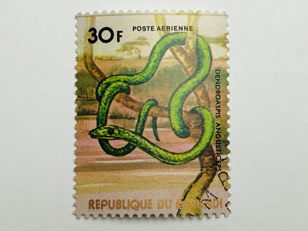 Африканские животные. Зеленая мамба. 30 фр. Фауна. Бурунди. 1977. Mi: BI 1365. Гашен