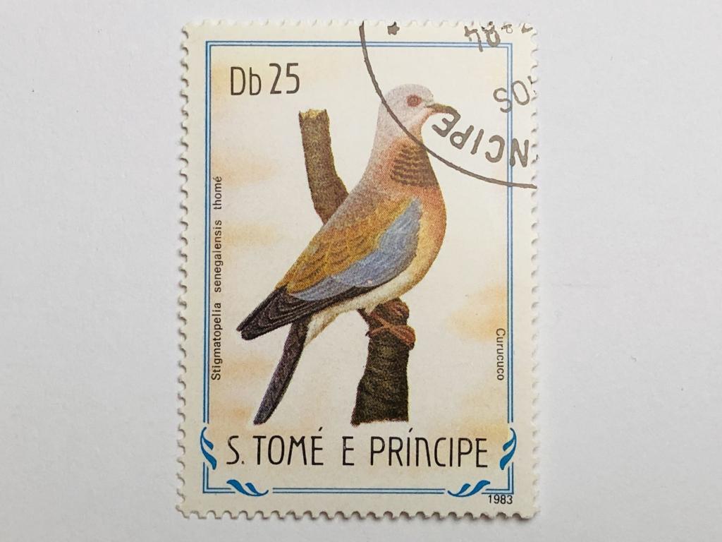 Птицы. 25 добр. Фауна. Сан-Томе и Принсипи. 1983. Mi: ST 896. Гашен