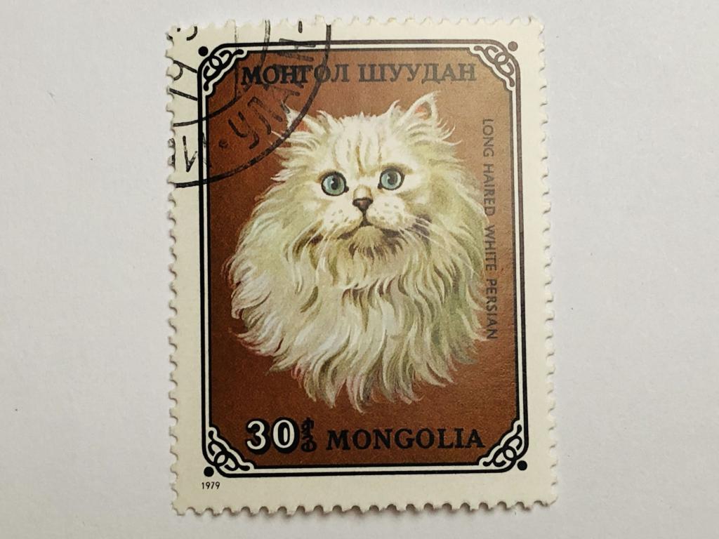 Домашние кошки. Персидский белый. 30 мунгу. Фауна. Монголия. 1979. Mi: MN 1202. Гашен