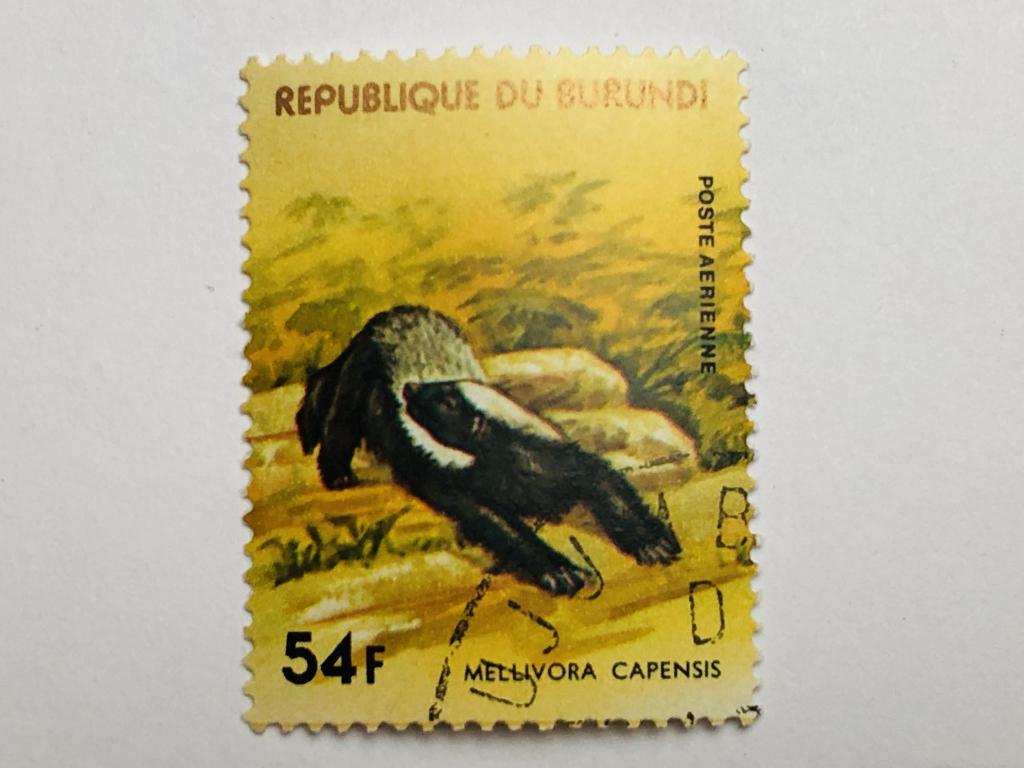 Африканские животные. Медоед. 54 фр. Фауна. Бурунди. 1977. Mi: BI 1371. Гашен