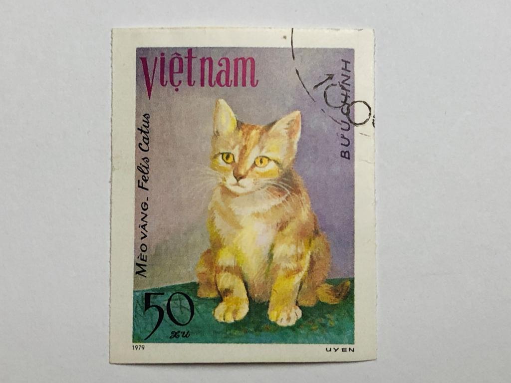 Животные. Кошки. 50 су. Фауна. Вьетнам. 1979. Mi: VN 1068U. Гашен