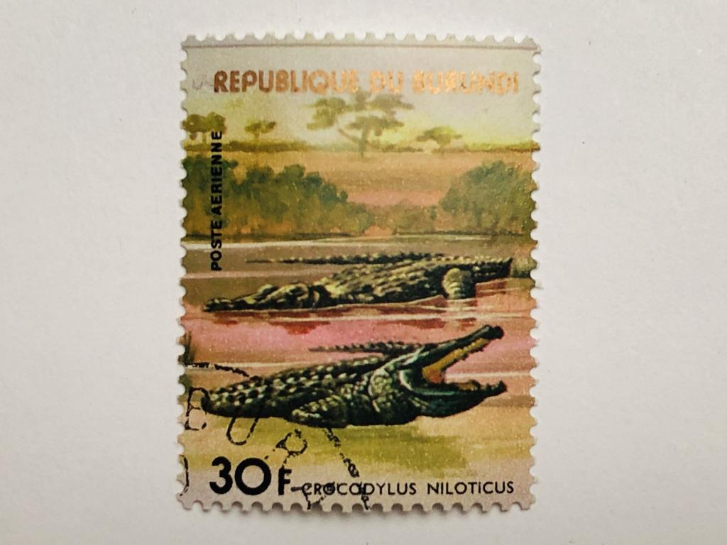 Африканские животные. Нильский крокодил. 30 фр. Фауна. Бурунди. 1977. Mi: BI 1364. Гашен