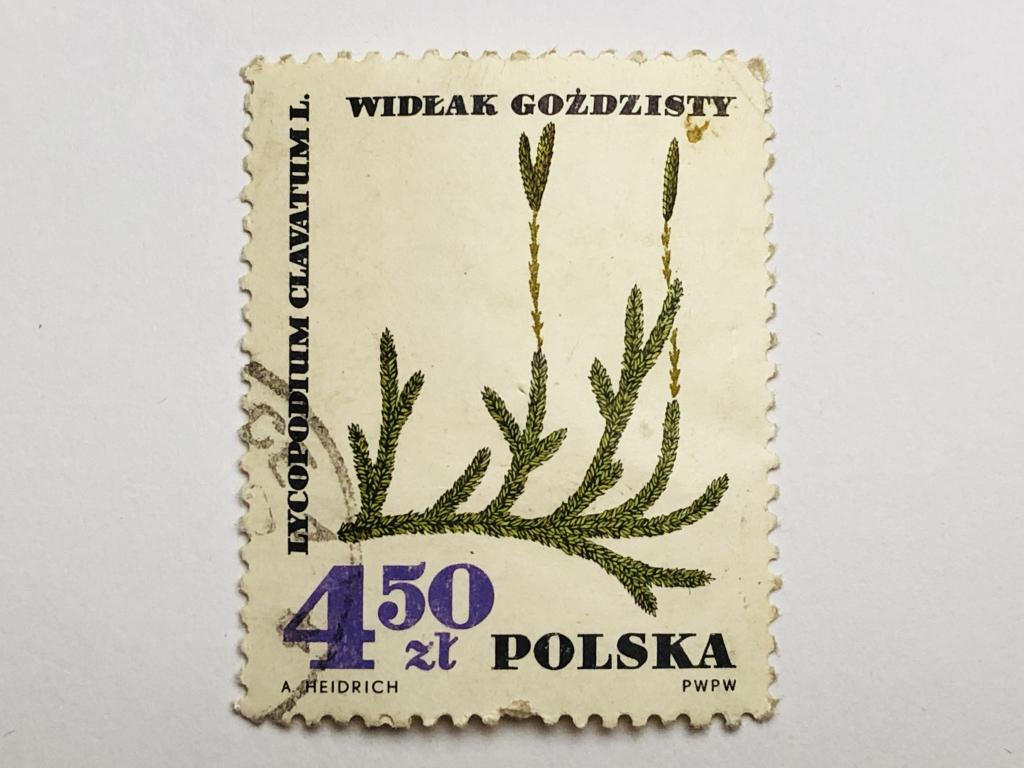 Лекарственные растения. 4.50 злотых. Флора. Польша. 1967. Mi: PL 1773. Гашен