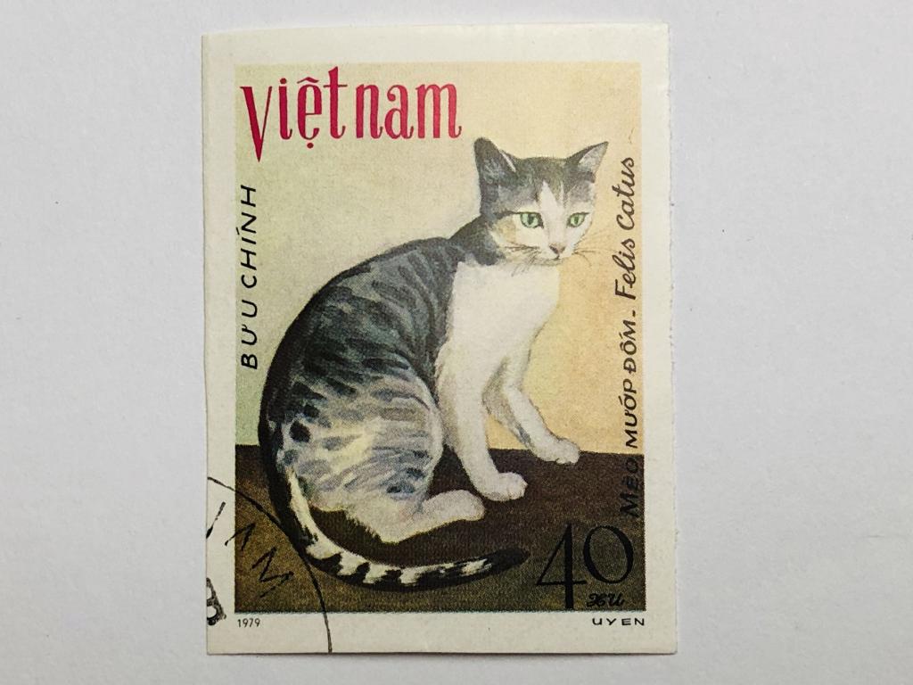 Животные. Кошки. 40 су. Фауна. Вьетнам. 1979. Mi: VN 1067U. Гашен