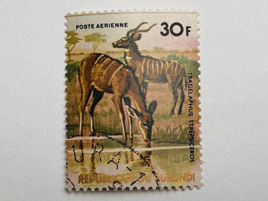 Африканские животные. Большой куду. 30 фр. Фауна. Бурунди. 1977. Mi: BI 1366. Гашен
