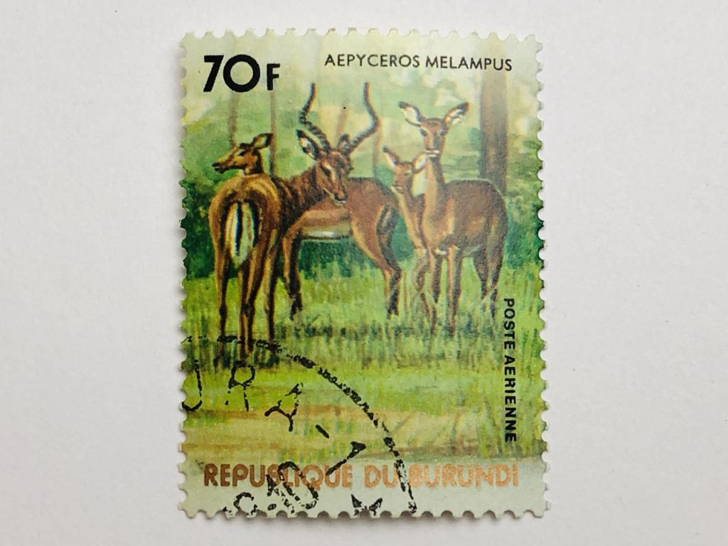 Африканские животные. Импала. 70 фр. Фауна. Бурунди. 1977. Mi: BI 1378. Гашен